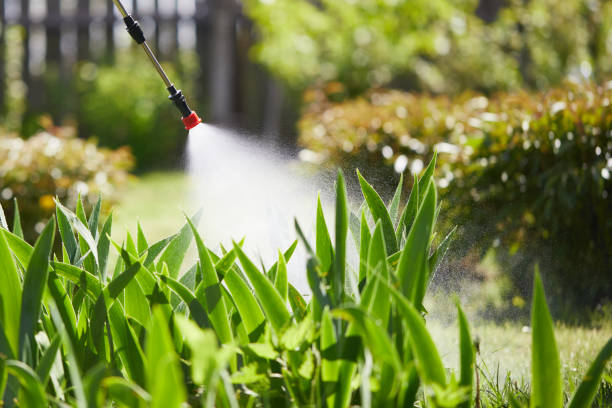 24/7 Emergency Cockroach Control experts in Urbana, OH